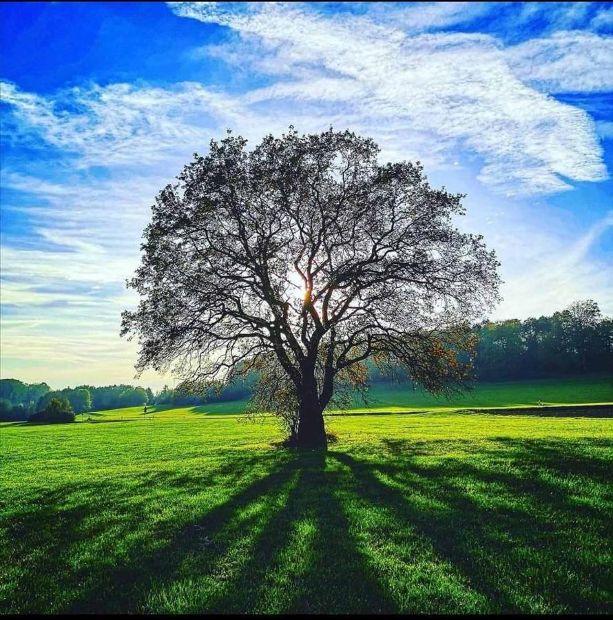 Appartamento Blick Punkt Tann  Esterno foto